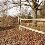 Old fence & gate