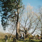 Day Four - Trimming and taking down trees
