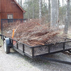 Day Three - Hauling off the debris